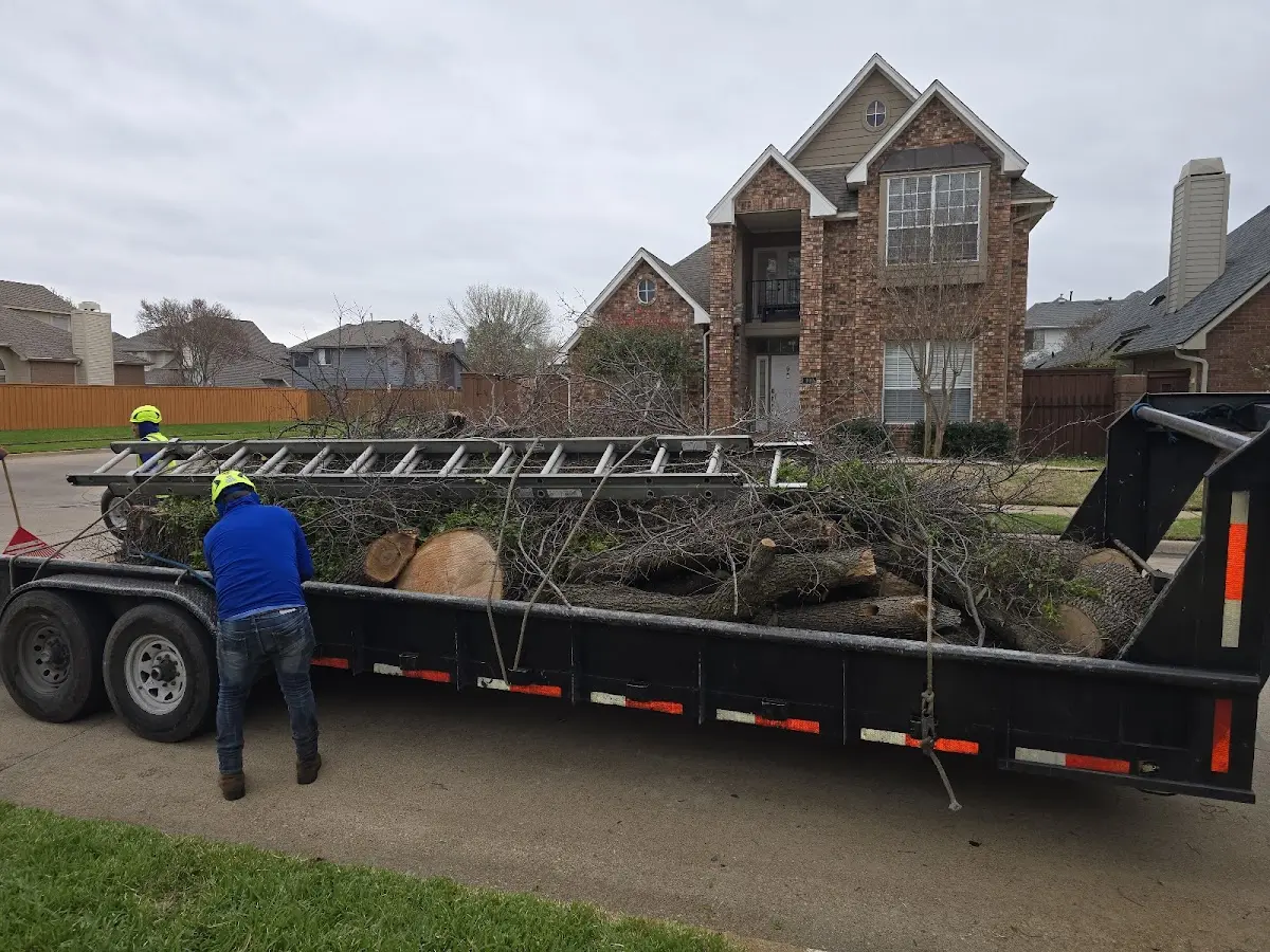 Expert Tree Removal with proper safety equipment in Howardsville
